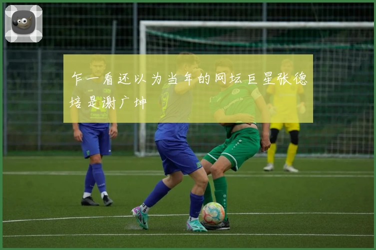 乍一看还以为当年的网坛巨星张德培是谢广坤