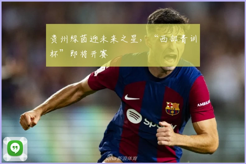 贵州绿茵迎未来之星，“西部青训杯”即将开赛