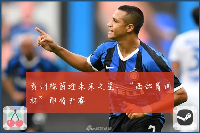 贵州绿茵迎未来之星，“西部青训杯”即将开赛